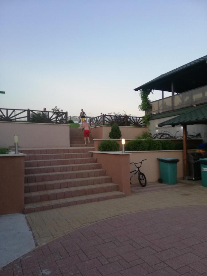 Camping Complex Turistic David Boghiş