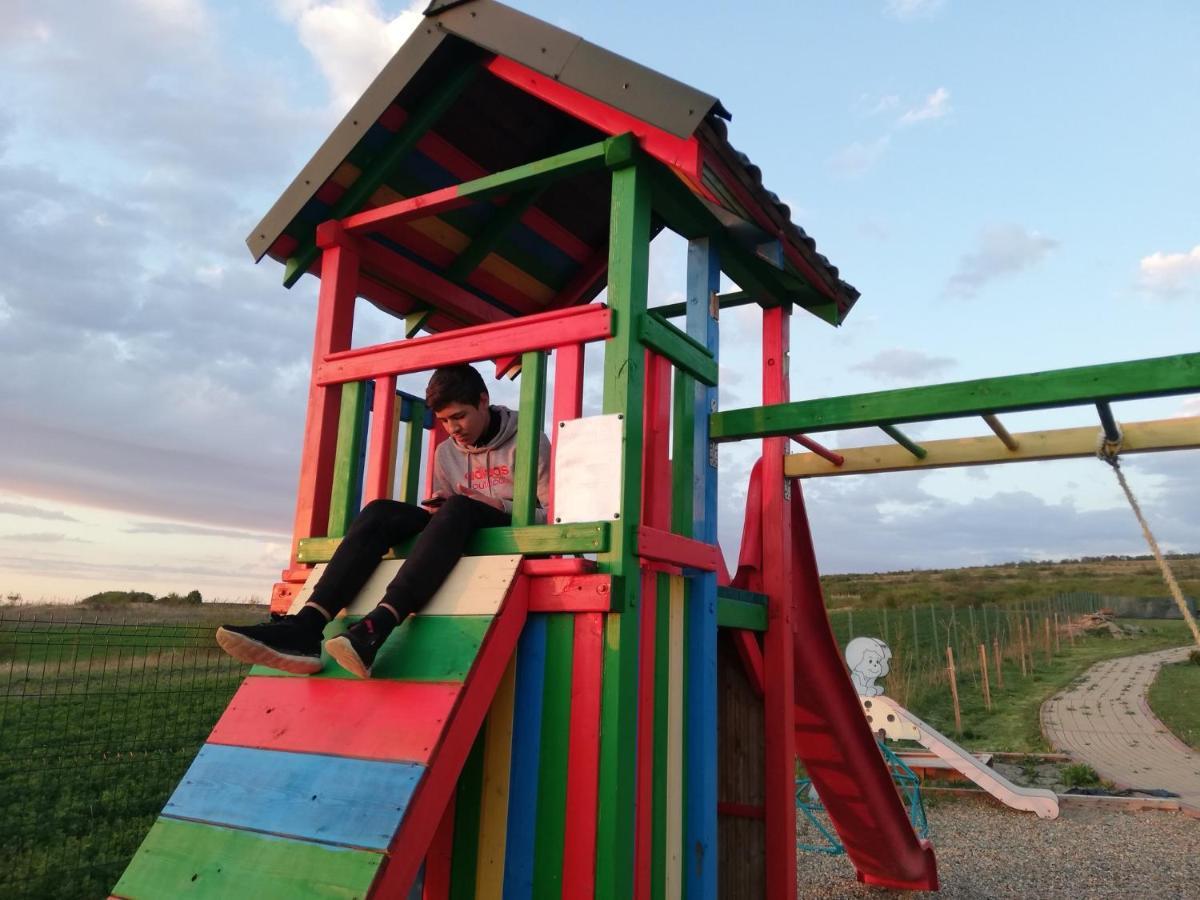Complex Turistic Dávid * Boghiş