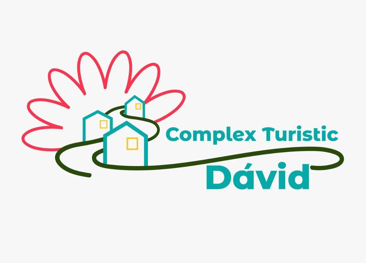 Complex Turistic David